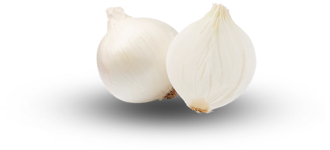 Floating vegetable illustration in hero background